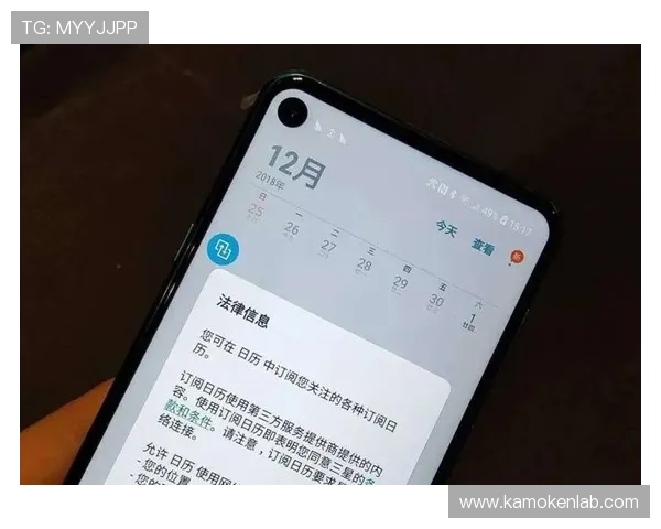 开云体育网页版入口评价：全面解析平台安全性与用户体验的真实反馈