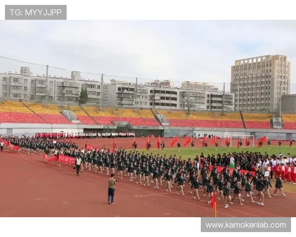 开运体育网页版提供专业的运动数据分析,助你科学规划训练计划