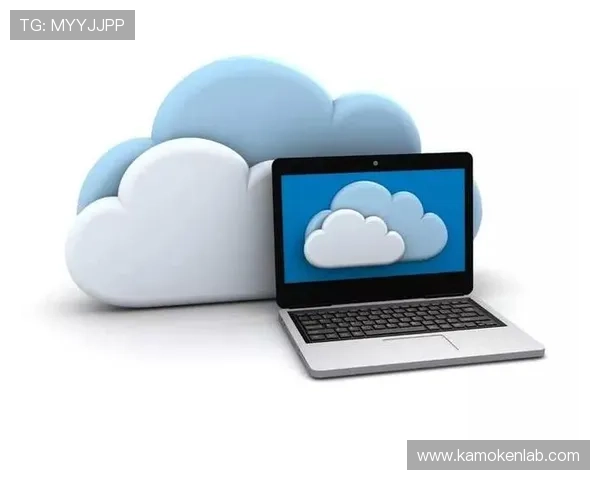 探索开云体育官网登入口的功能与优势，提升用户体验