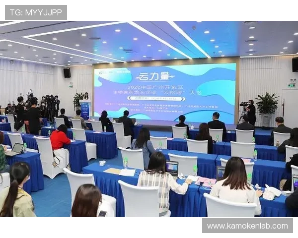 开云官方app是不是官方入口，识别正规平台的实用技巧与安全保障措施介绍