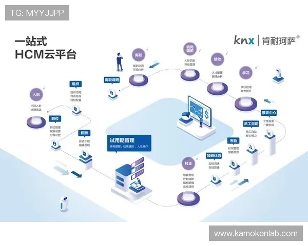 云开网站入口官方最新登录地址查询，帮助用户快速找到稳定安全的访问通道