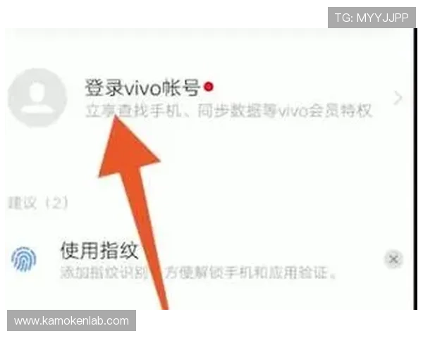 如何重置开云官网登录密码确保账号安全与个人信息保护的完整步骤